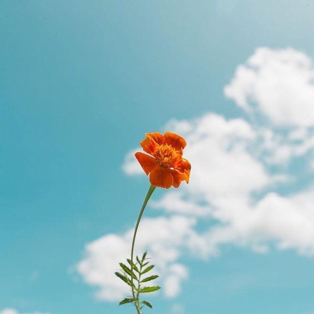 一天一句心情早安语 一天一句心情早安语