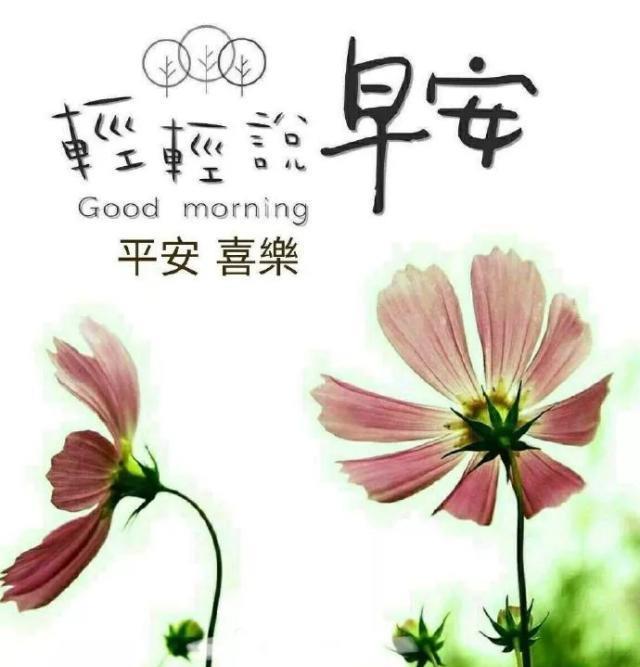 每天一段清晨寄语图片_(2020清晨寄语正能量)