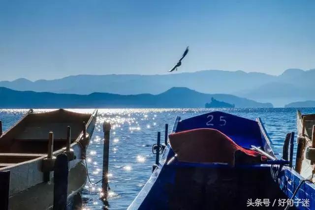 励志微语录经典语录 励志微语录经典语录