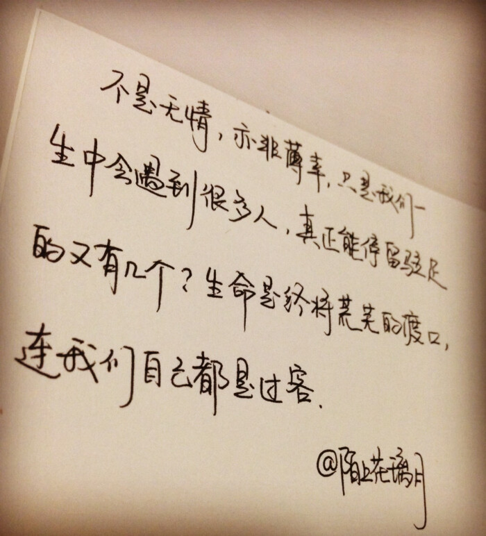 青春美文美句摘抄50字【青春100字美文摘抄】