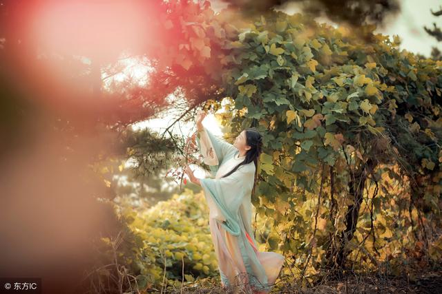 美文美句摘抄大全10 美文美句摘抄大全10