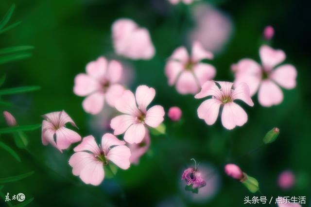 最短的励志美文美句