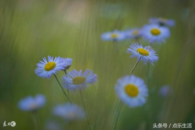 最短的励志美文美句
