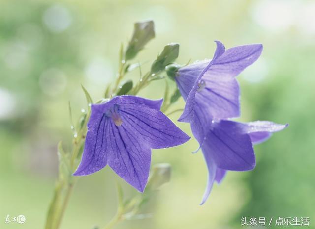 最短的励志美文美句