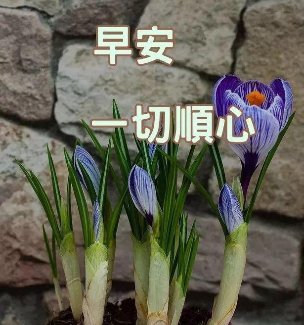 工作热情正能量句子 工作热情正能量句子
