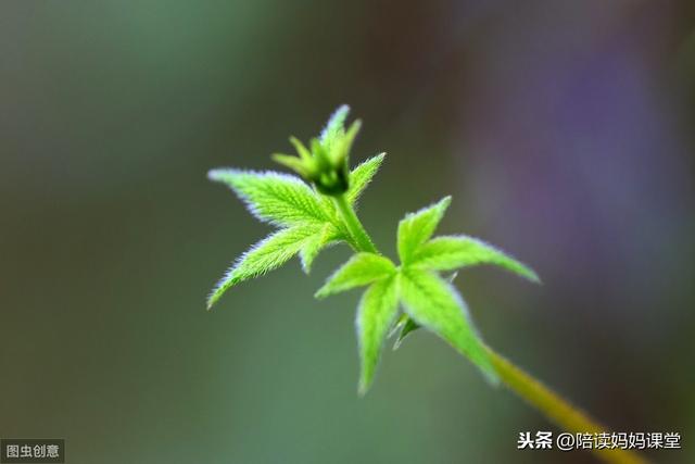 美文美句积累摘抄 大全一年级 美文美句积累摘抄 大全一年级