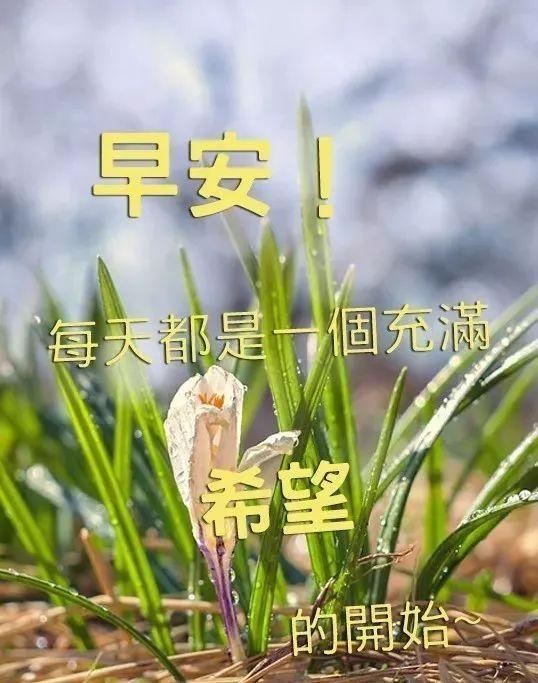 工作热情正能量句子 工作热情正能量句子