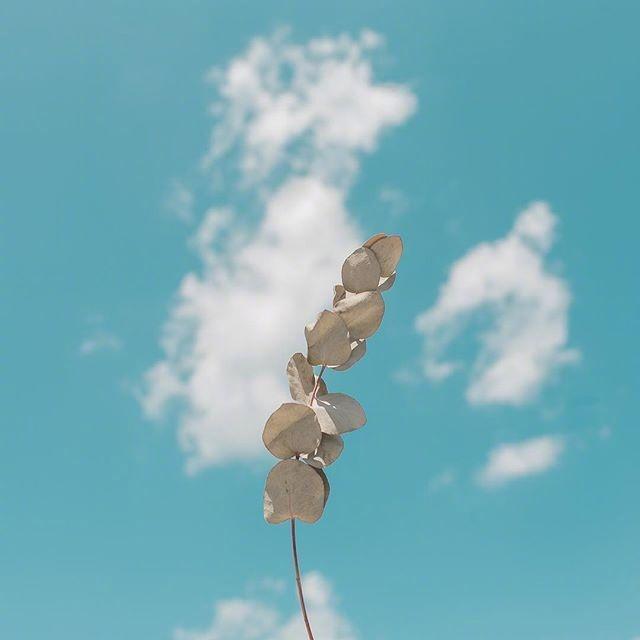 早安激励正能量的句子 早安激励正能量的句子