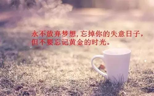 关于激励人生励志人生的句子图片