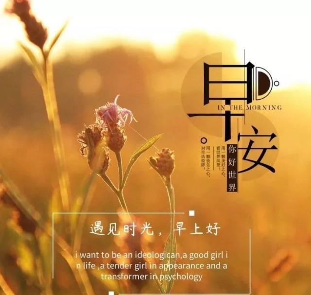 暖心正能量简单一句话(简短正能量暖心的话)