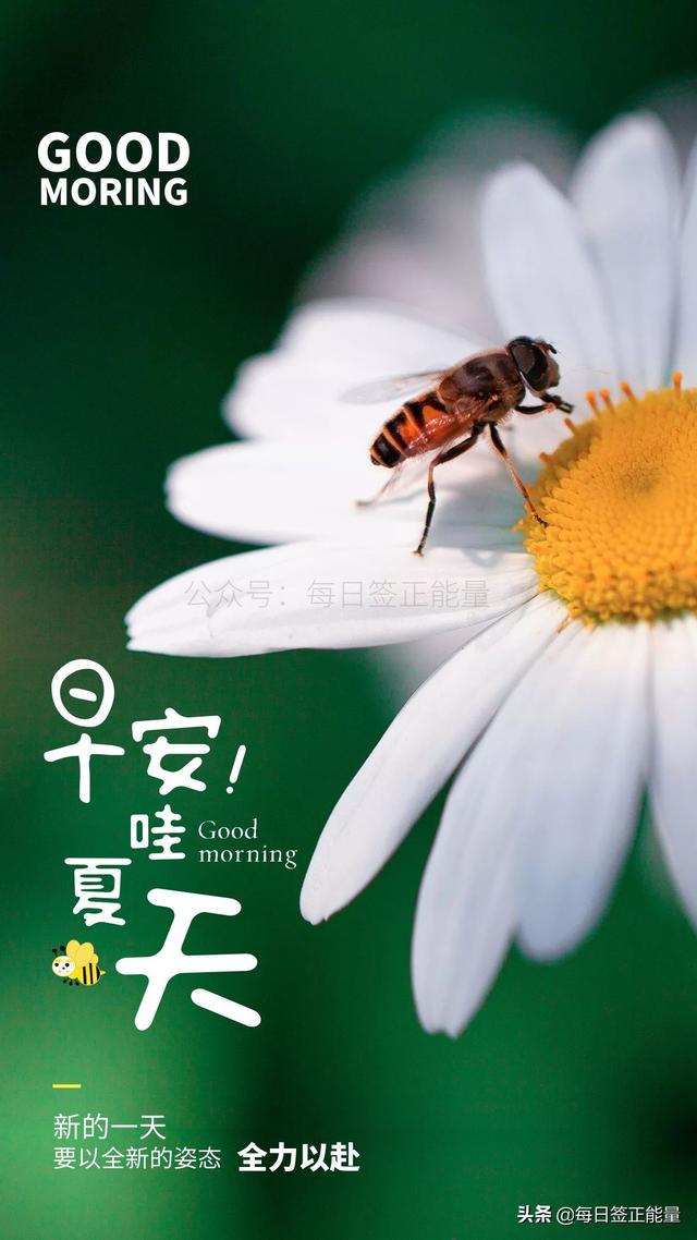 最美励志文字短句 最美励志文字短句