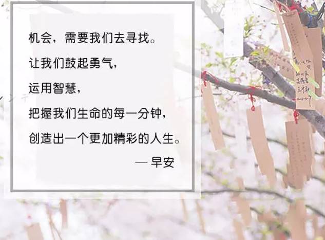 表示只要努力就会有收获的句子(辛苦付出与收获的句子)