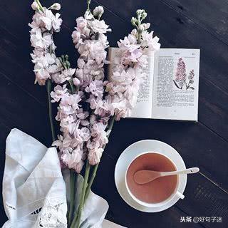 有吸引力的朋友圈句子美食 有吸引力的朋友圈句子美食