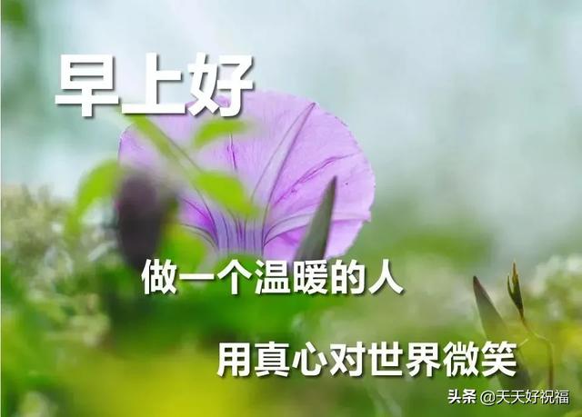 早上暖心短句