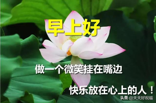 早上暖心短句