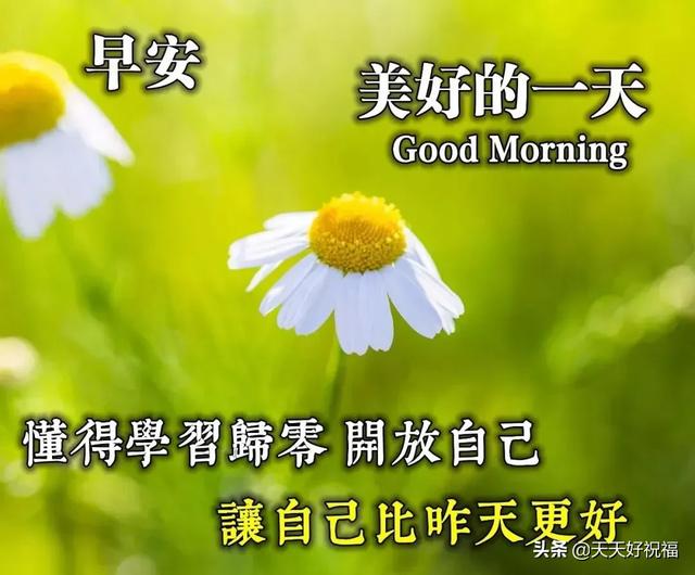 早上暖心短句