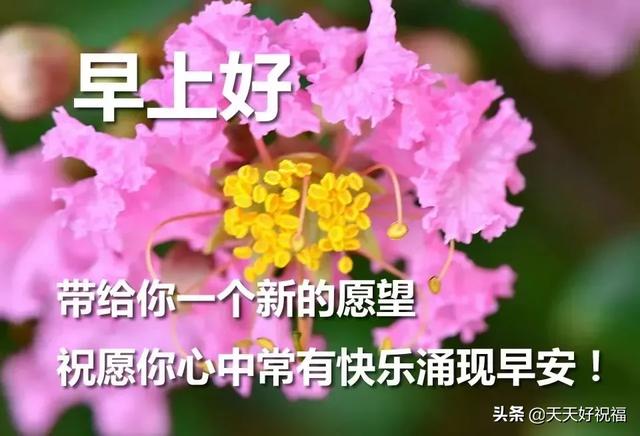 早上暖心短句
