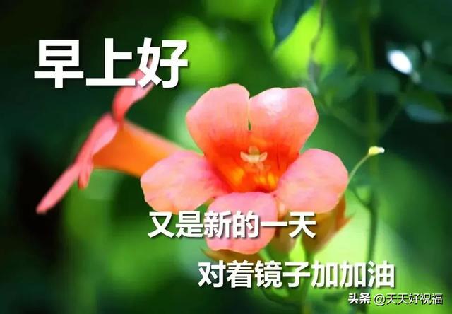 早上暖心短句