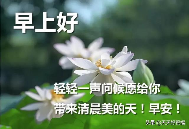 早上暖心短句