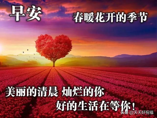 早上暖心短句