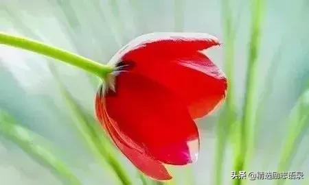 励志小故事及感悟简短 励志小故事及感悟简短
