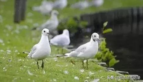 励志小故事及感悟简短 励志小故事及感悟简短