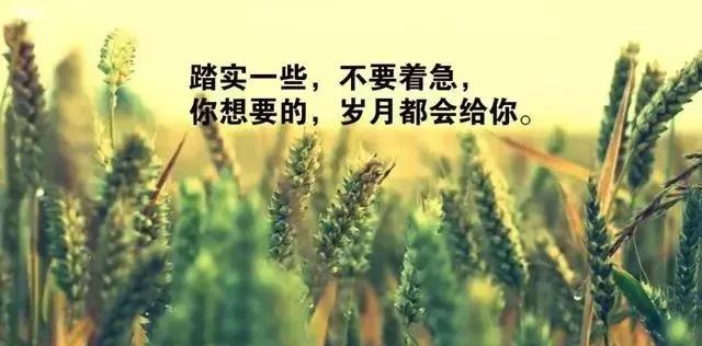 激励人生的哲理句_(感悟人生的经典句子)