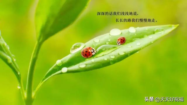 励志短句图片 励志短句图片