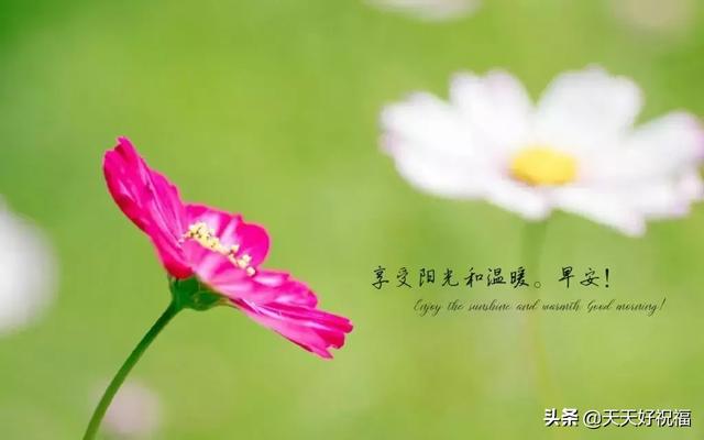 励志短句图片 励志短句图片