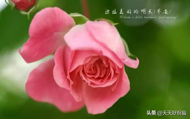 励志短句图片 励志短句图片