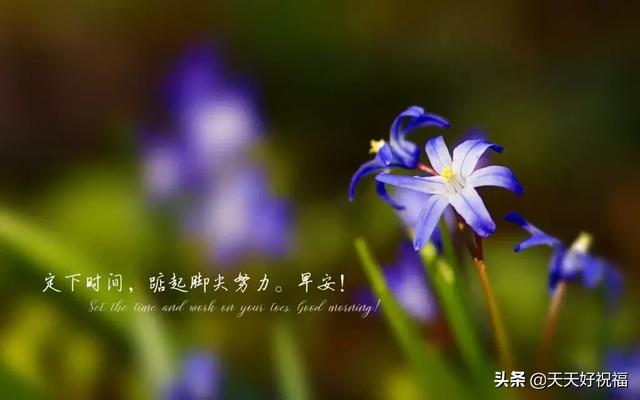 励志短句图片 励志短句图片