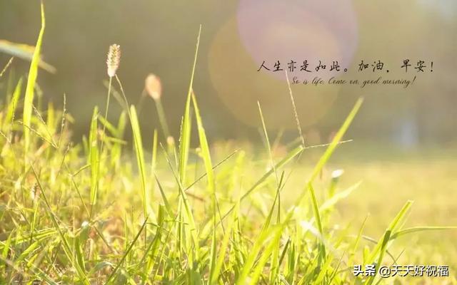 励志短句图片 励志短句图片