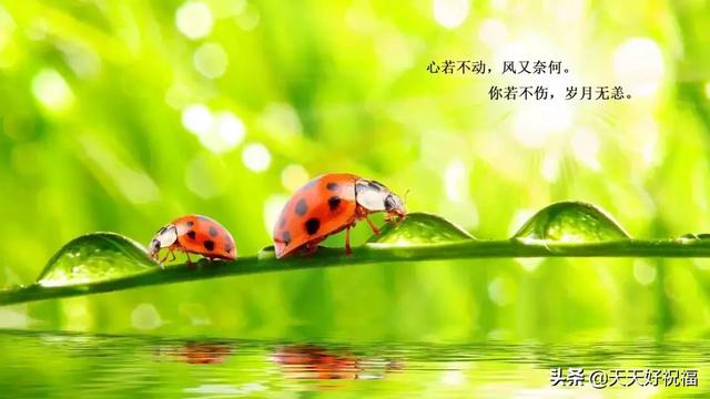励志短句图片 励志短句图片