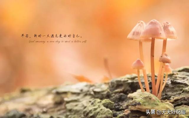 励志短句图片 励志短句图片