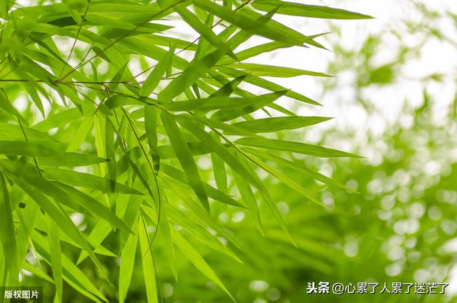 人生路励志语录经典短句 人生路励志语录经典短句