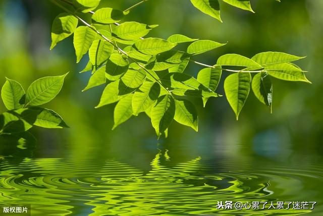 人生路励志语录经典短句 人生路励志语录经典短句