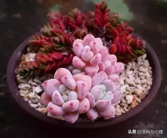 所有心情正能量 所有心情正能量