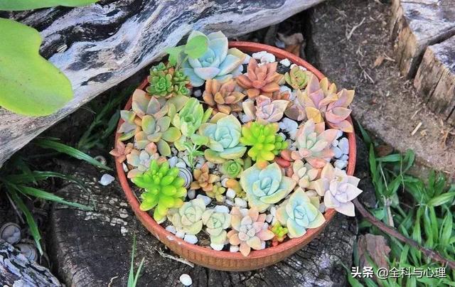 所有心情正能量 所有心情正能量