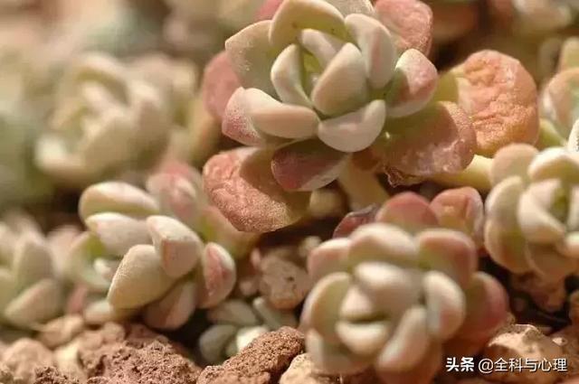 所有心情正能量 所有心情正能量