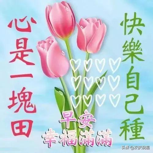 每天一句简单的问候语 每天一句简单的问候语
