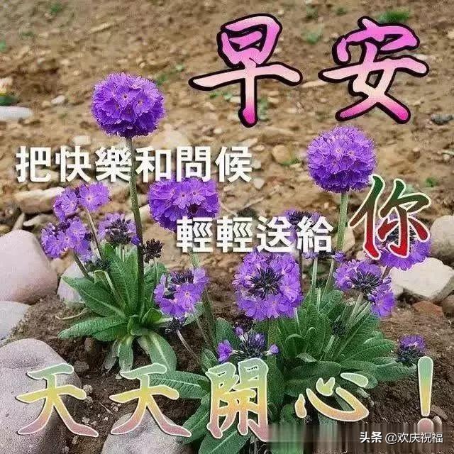 每天一句简单的问候语 每天一句简单的问候语