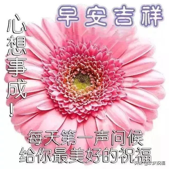 每天一句简单的问候语 每天一句简单的问候语