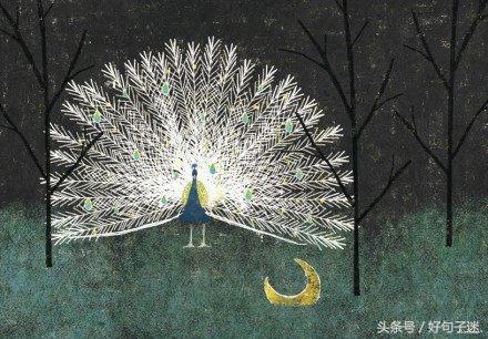 唯美文言文句子