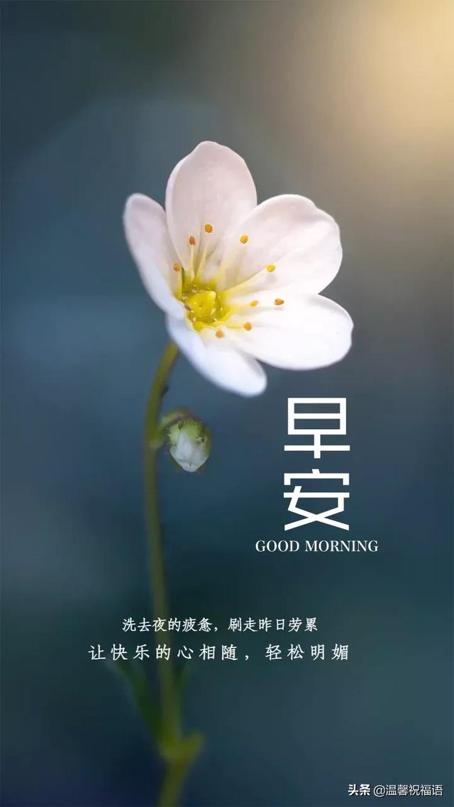适合发说说的句子和图片励志 适合发说说的句子和图片励志