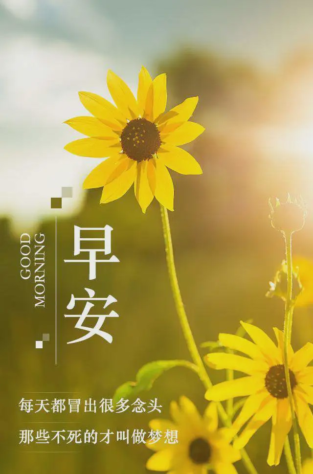 好心态的句子正能量朋友圈_(乐观的句子简短唯美)