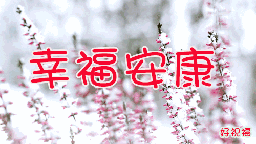 今日小雪时节，最温暖的祝福送给你，愿你生活美满，节日快乐