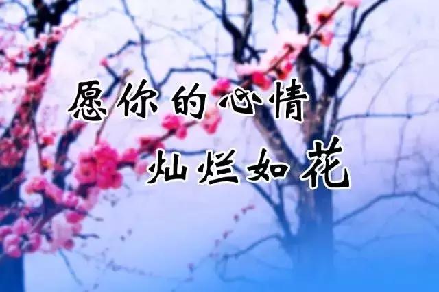 今日小雪时节，最温暖的祝福送给你，愿你生活美满，节日快乐