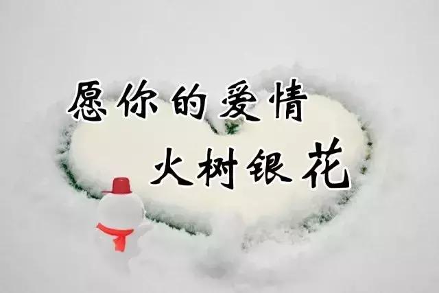 今日小雪时节，最温暖的祝福送给你，愿你生活美满，节日快乐