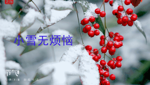 今日小雪时节，最温暖的祝福送给你，愿你生活美满，节日快乐