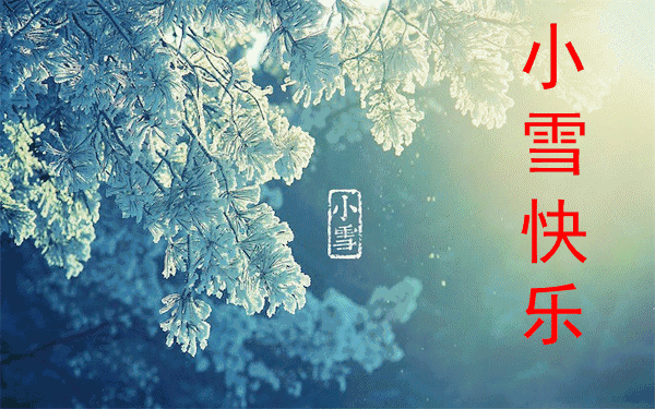 今日小雪时节，最温暖的祝福送给你，愿你生活美满，节日快乐